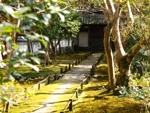 西芳寺
