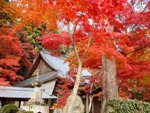 永源寺
