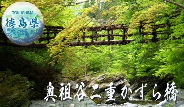 奥祖谷二重かずら橋